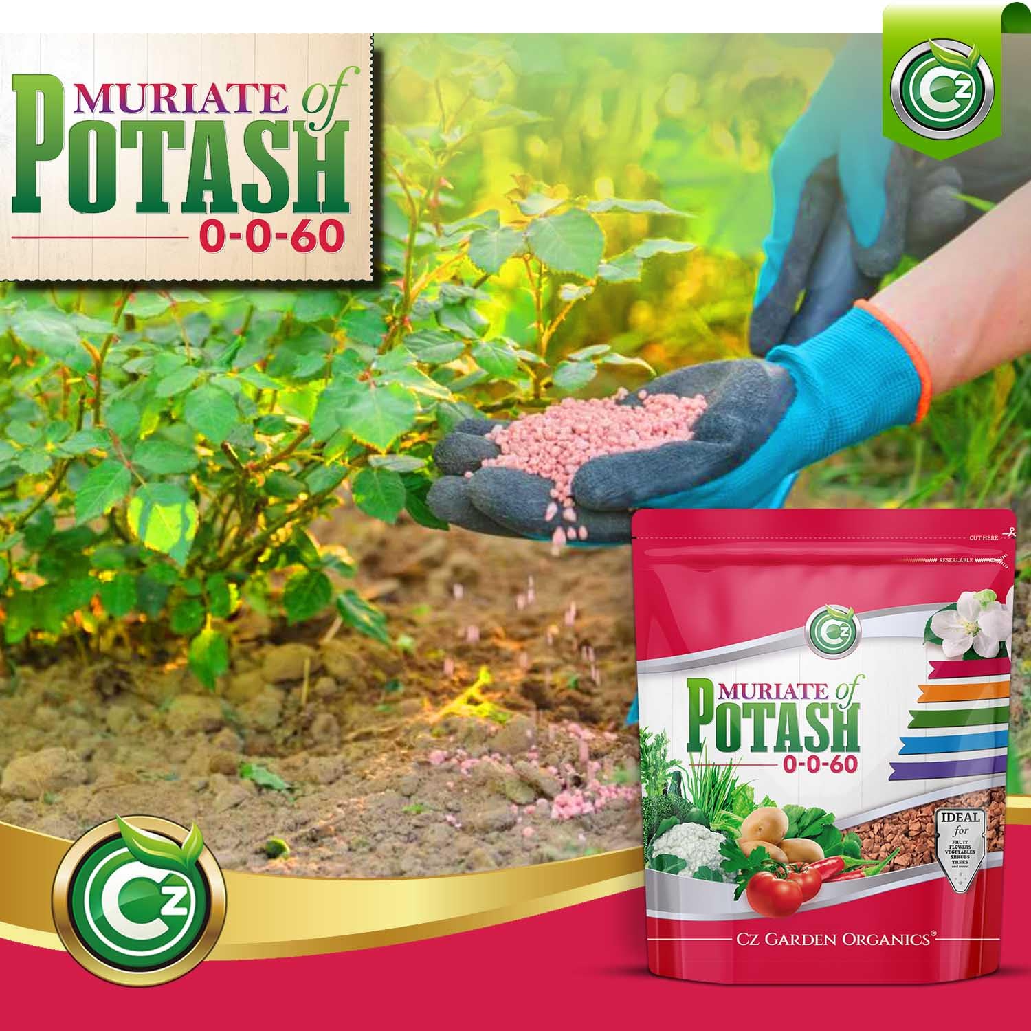 Cz Garden Supply granules dissolving in water to show quick mixing benefit