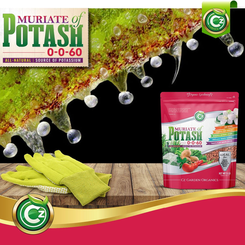 Cz Garden Supply broadcast on lawn depicting uniform potassium distribution benefit