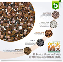 Cz Garden close-up of bark and biochar texture boosting aeration and drainage