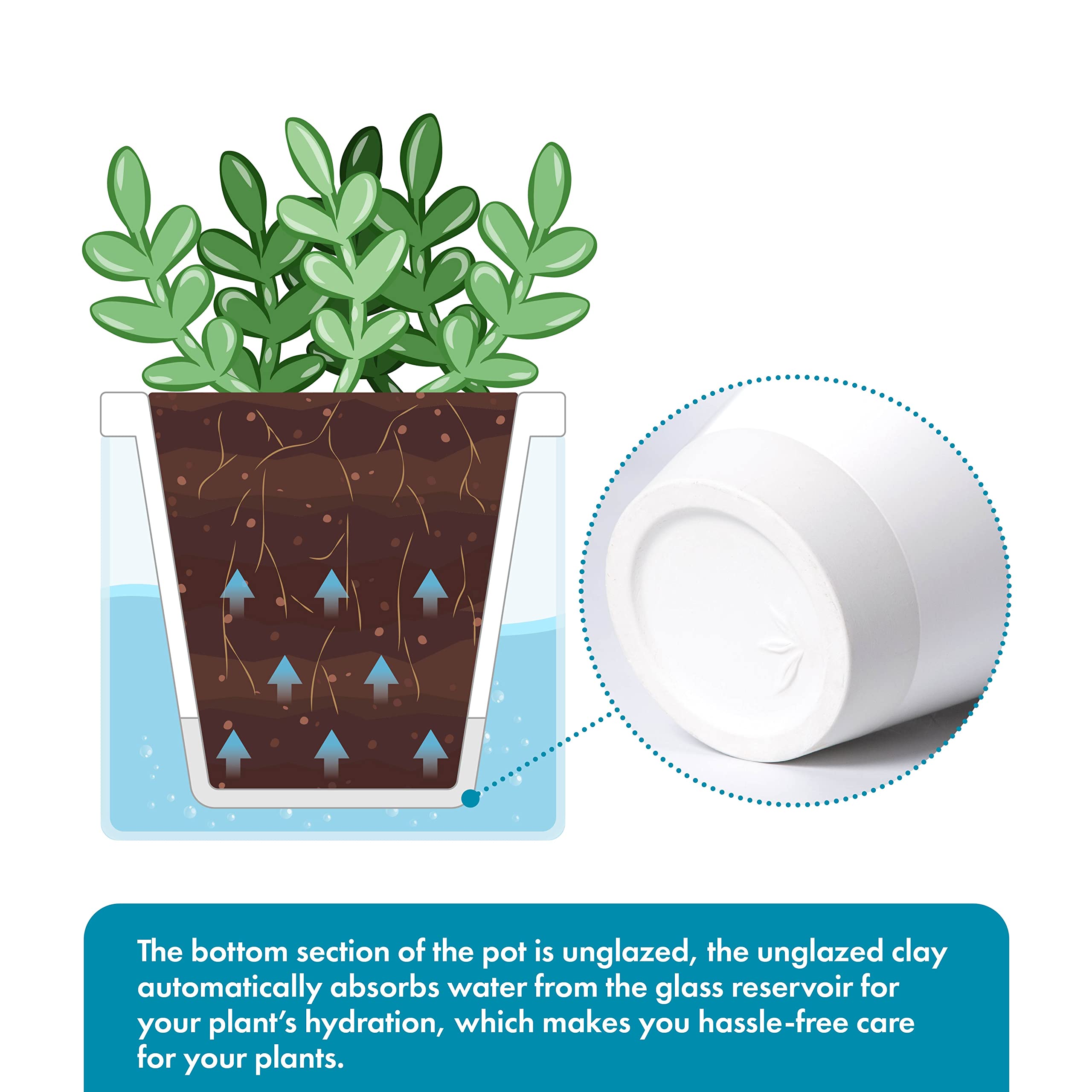 D'vine Dev planter in use on a windowsill with herbs demonstrating tidy self-watering benefit