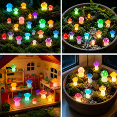 Dabshuyikk glowing mushrooms at night illustrating luminous decorative effect