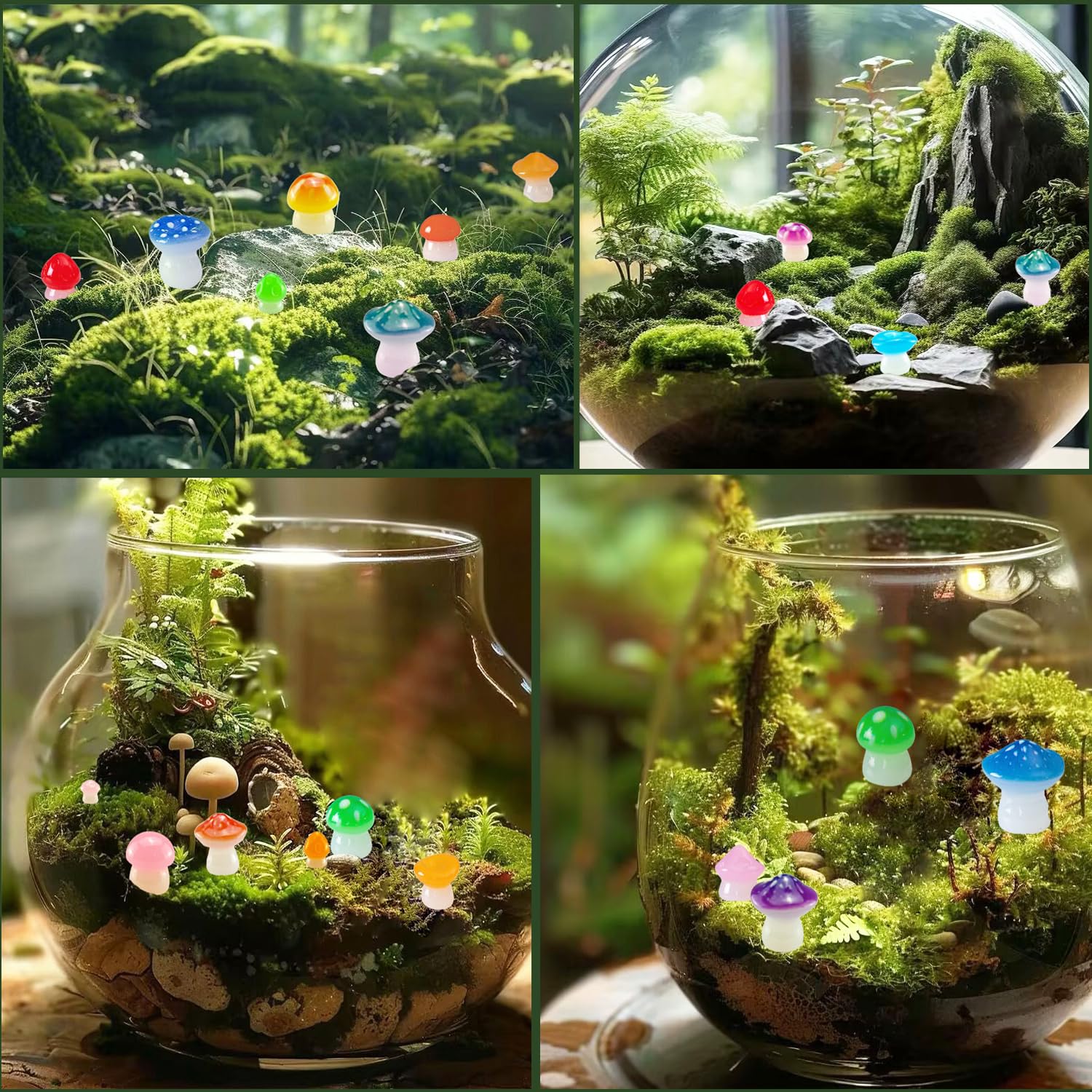 Dabshuyikk mini mushrooms placed in terrarium showing scale and charm
