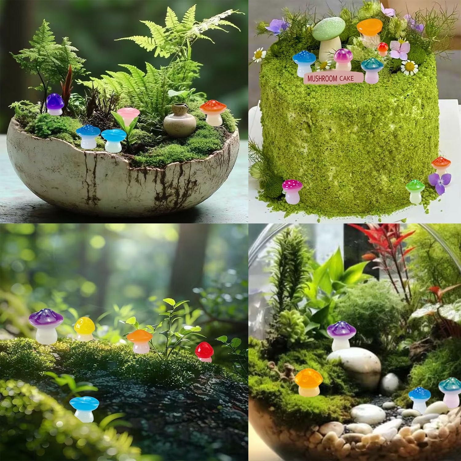 Dabshuyikk assorted styles arranged demonstrating variety and mix options