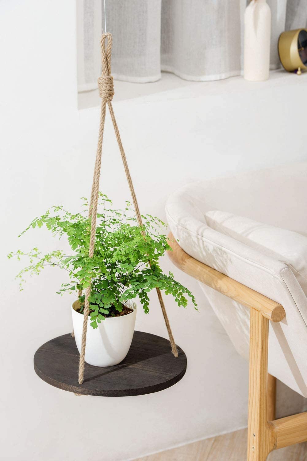 Dahey shelf in living room with plants showing space-saving display