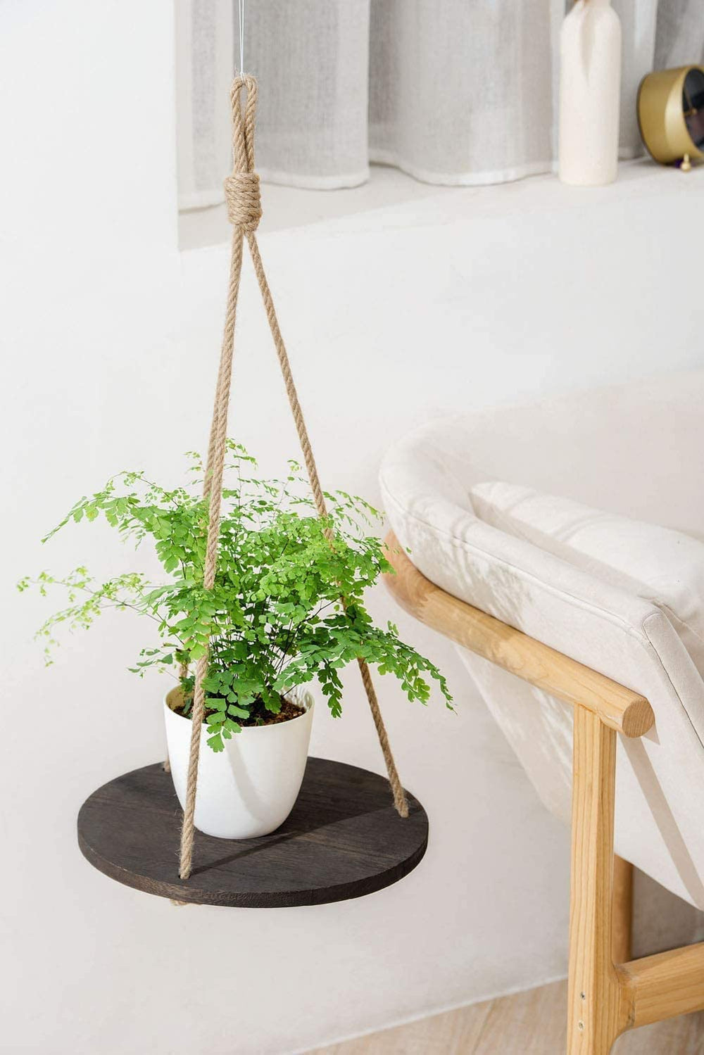 Dahey shelf in living room with plants showing space-saving display