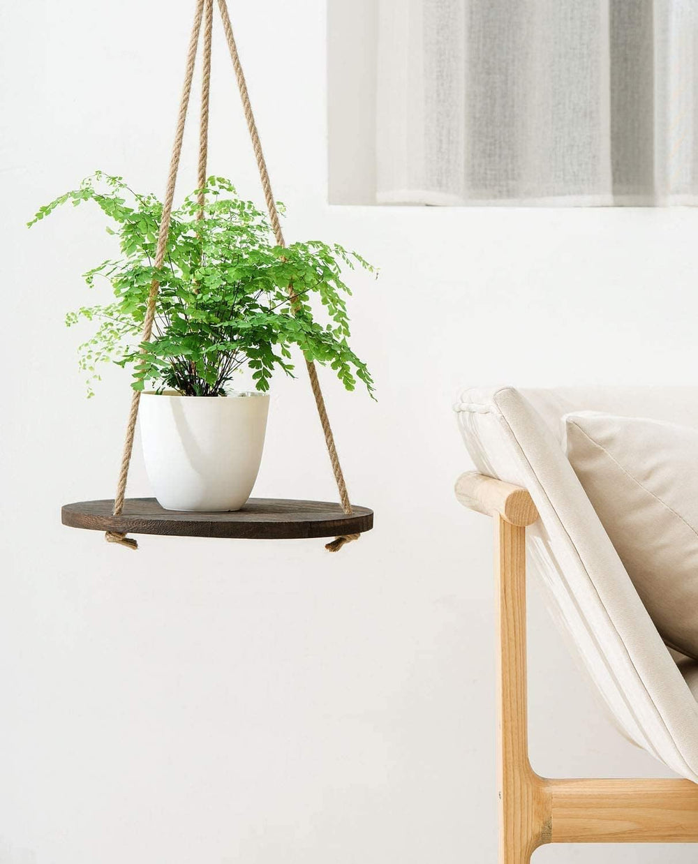 Dahey next to a book and pot showing 13-inch size and scale advantage