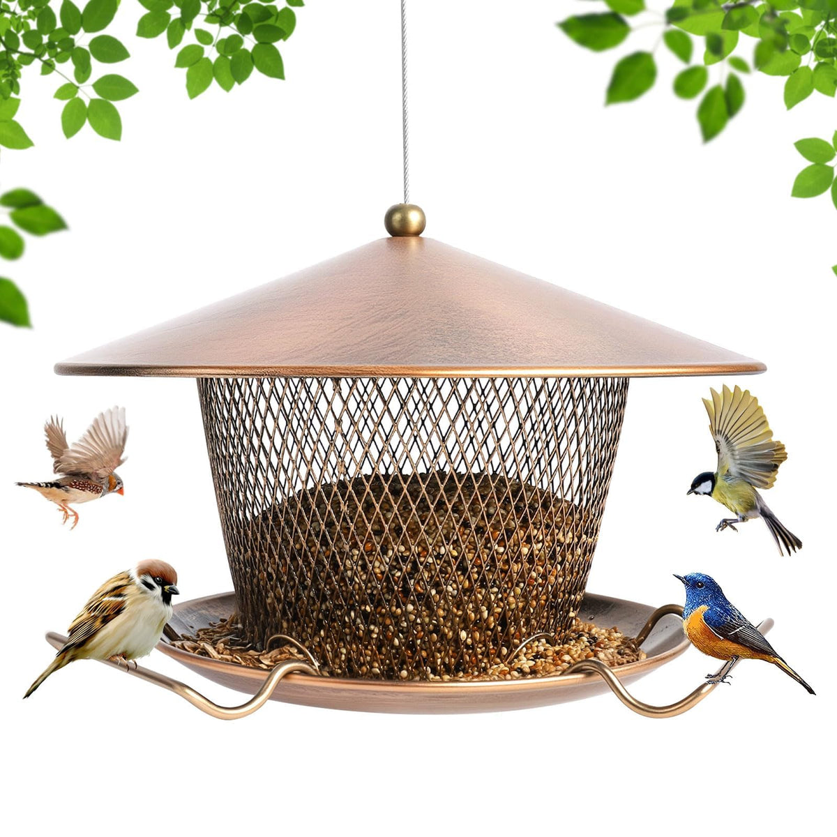 DALOHOMI feeder front view showing weatherproof roof and feeding ports, durable protection