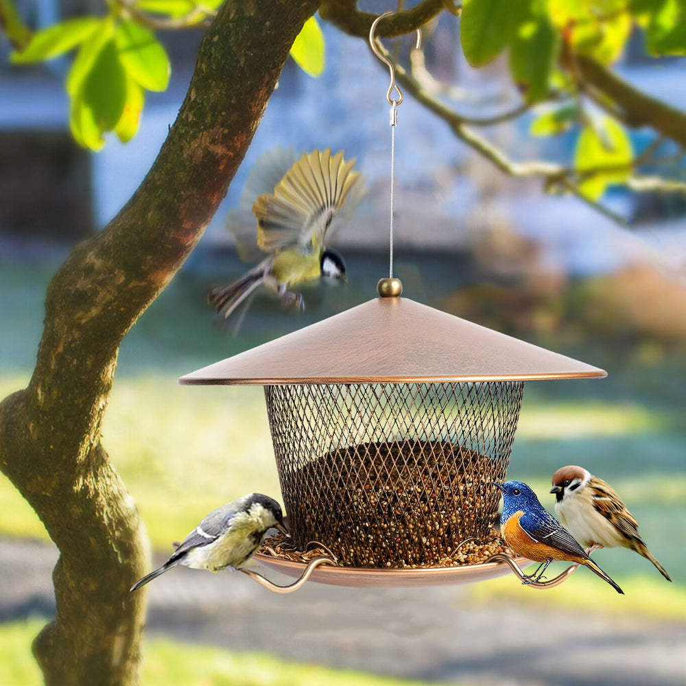 DALOHOMI feeder beside hand to show scale, easy to refill and handle
