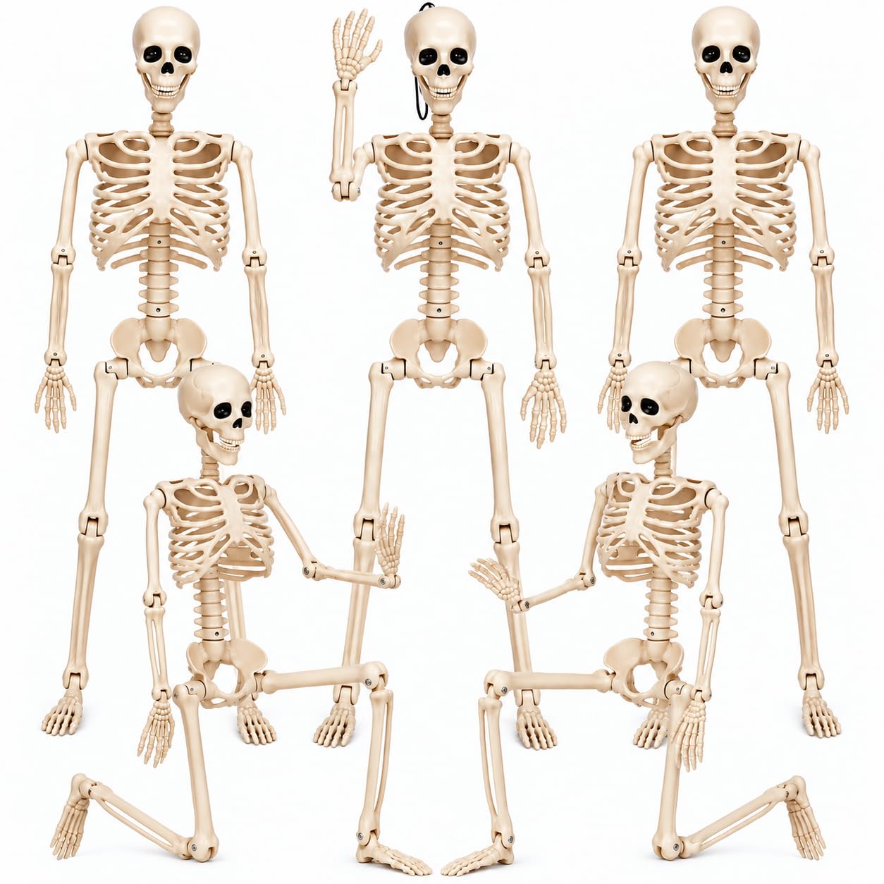 Daricano pack front view showing five skeletons and clear labeling for quick setup