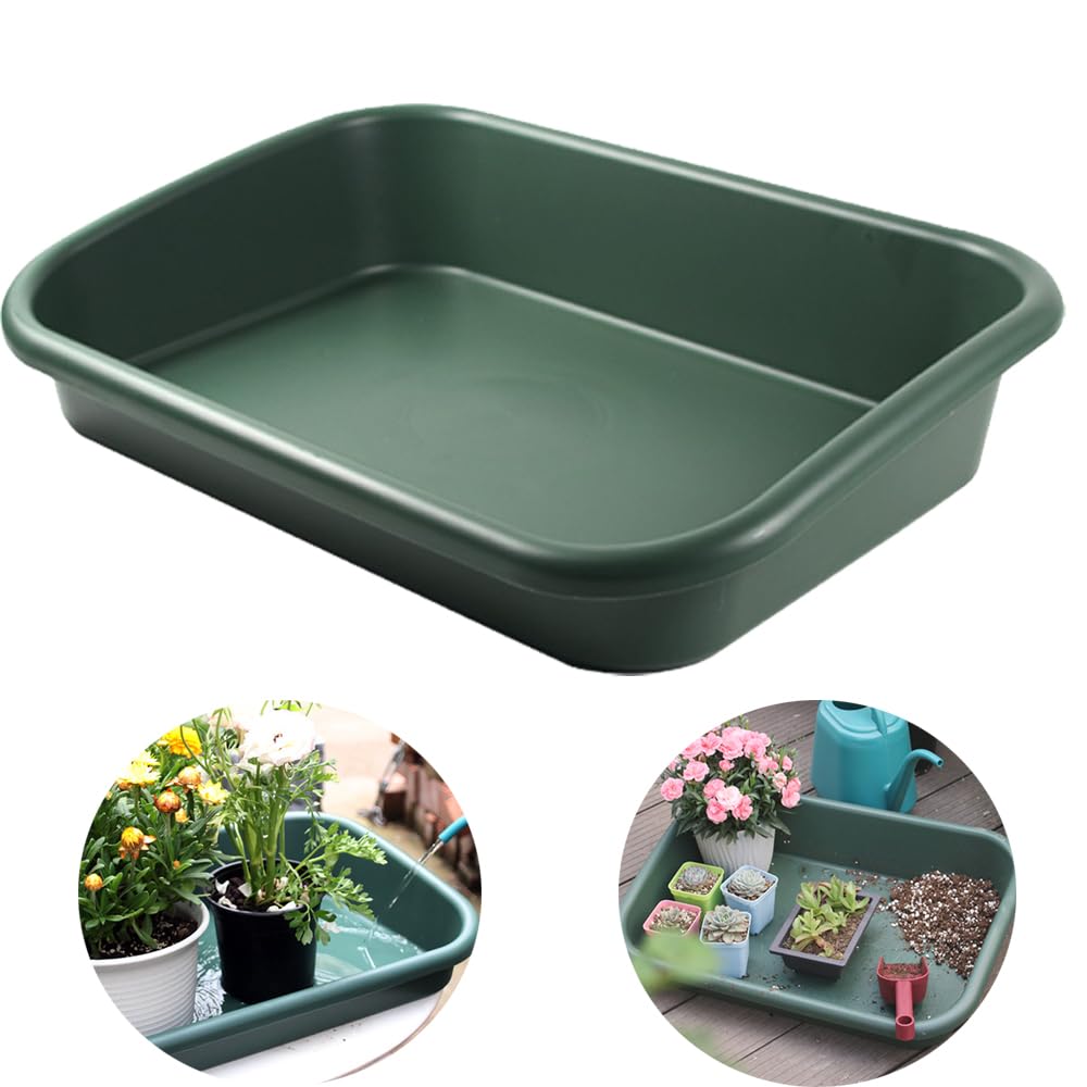 Defemim front view of green potting tray showing rim and capacity benefit