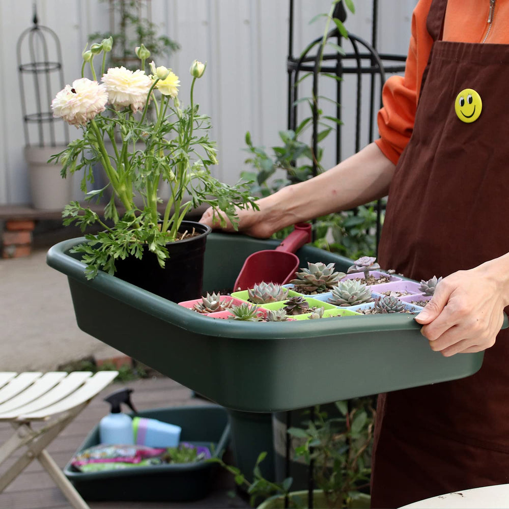 Defemim tray holding multiple small pots demonstrating organized pot storage benefit