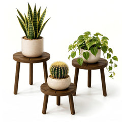 Delma front view showing three dark brown plant stands and decorative appeal