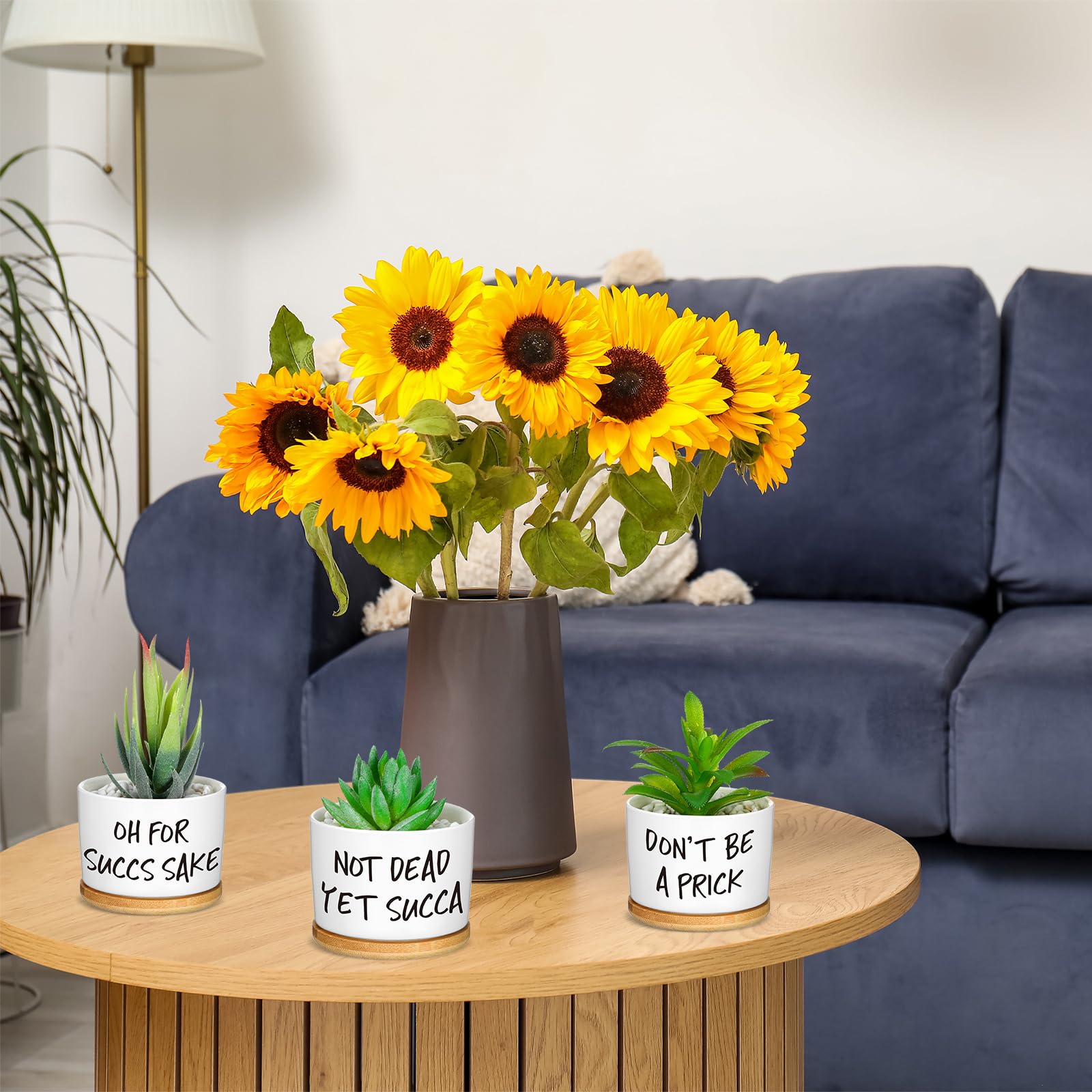 Domensi packaging and set laid out, convenient ready-to-gift presentation