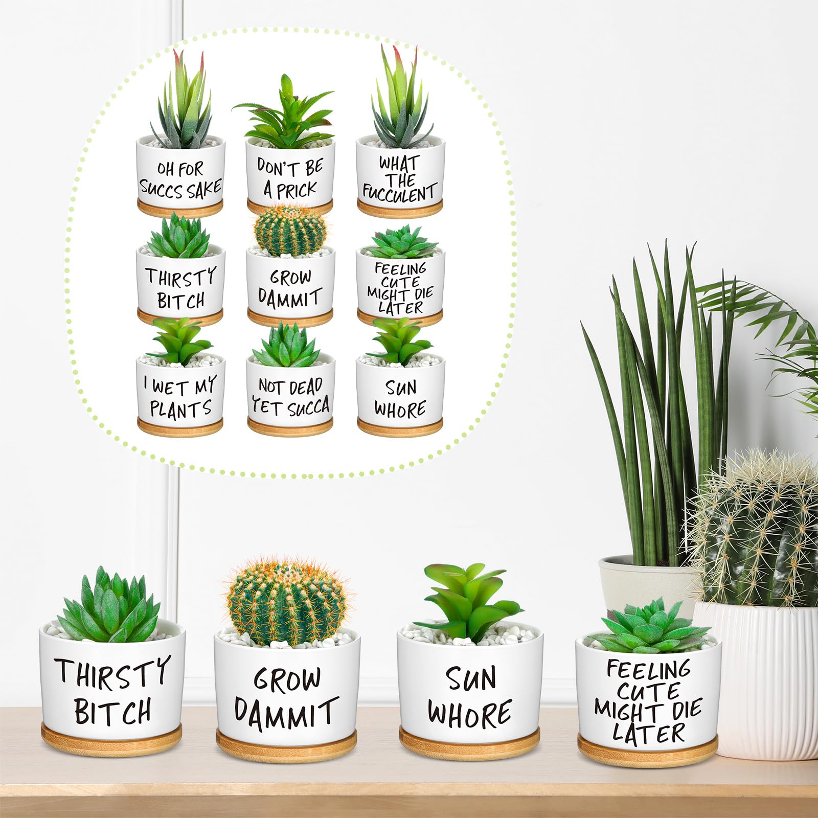 Domensi pot in use on desk with succulent, brightens work area