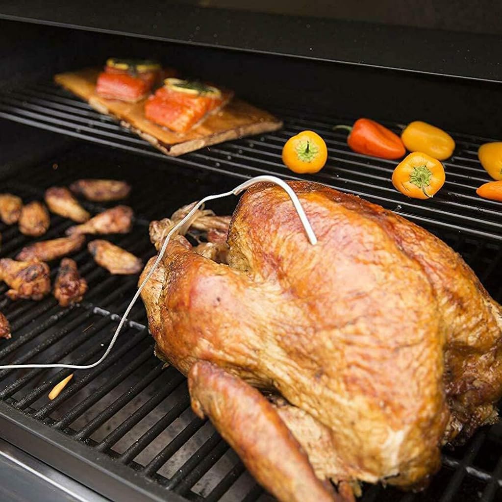 DONSIQIZZ probe installed through grill lid preserving heat and smoke