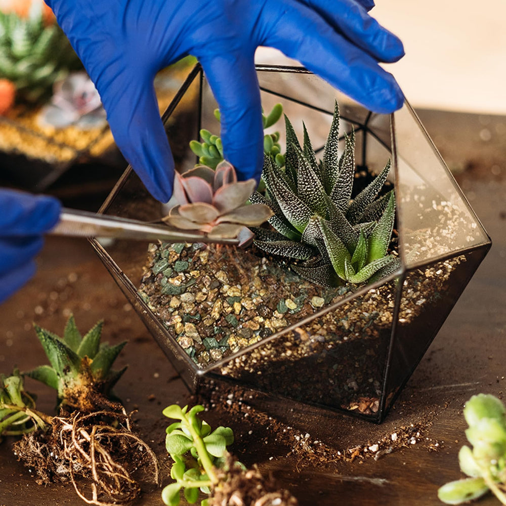 Doter layering demo showing drainage, charcoal, and planting layer benefits