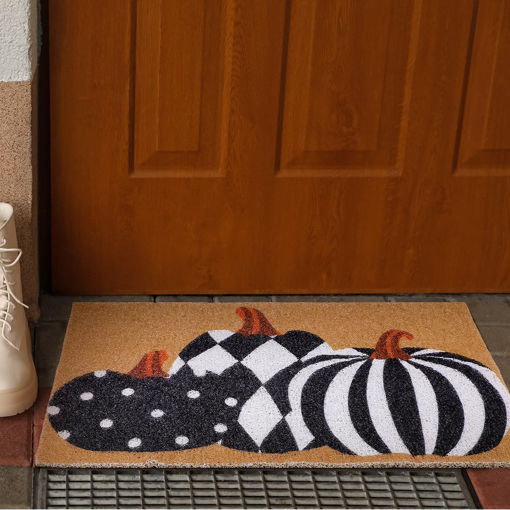Drydiet doormat next to shoe shows compact size and fit