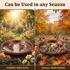Dunkive bird bathing in bowl demonstrating safe, shallow water for birds