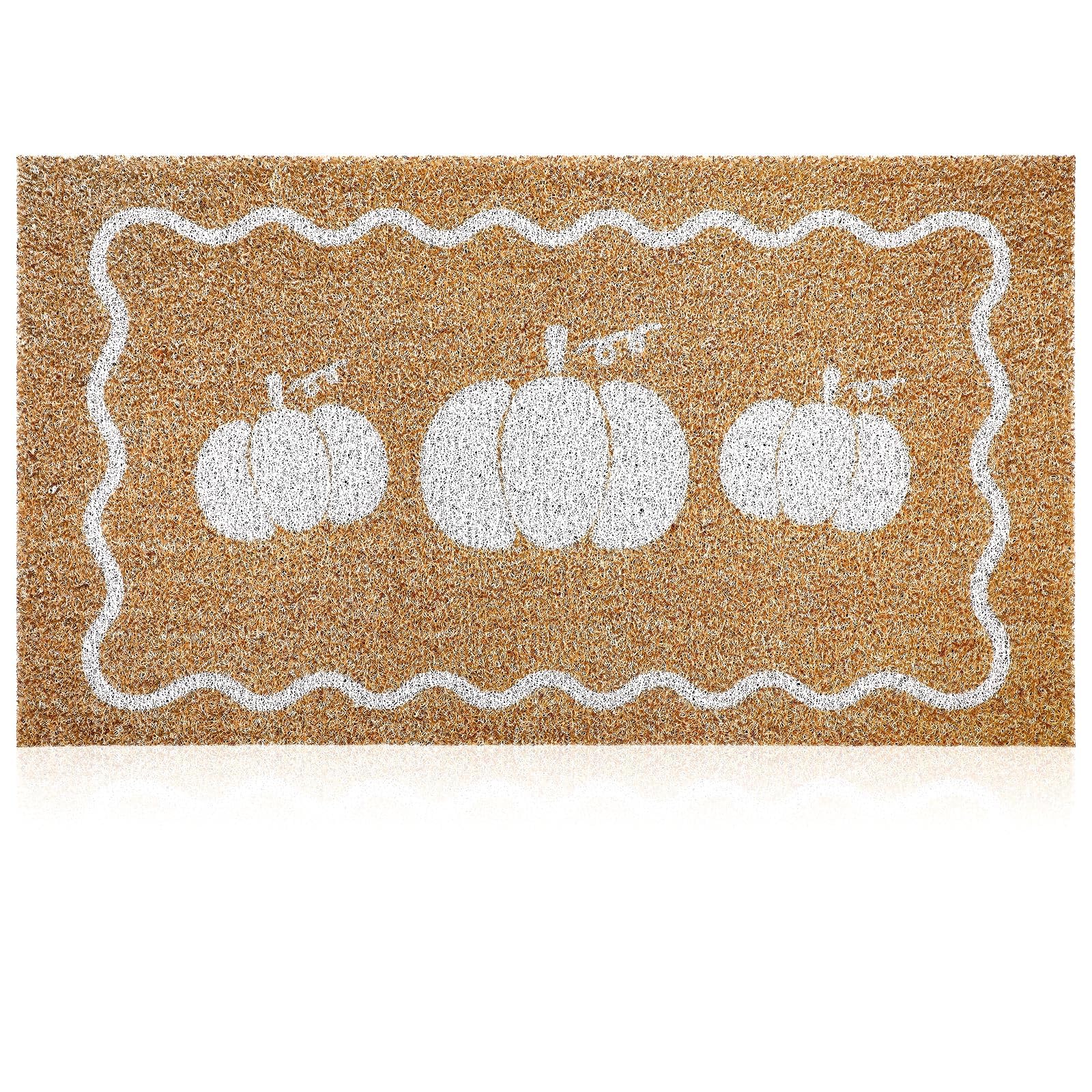 Dunzy mat beside door showing 16.5x30 inch size and proper fit