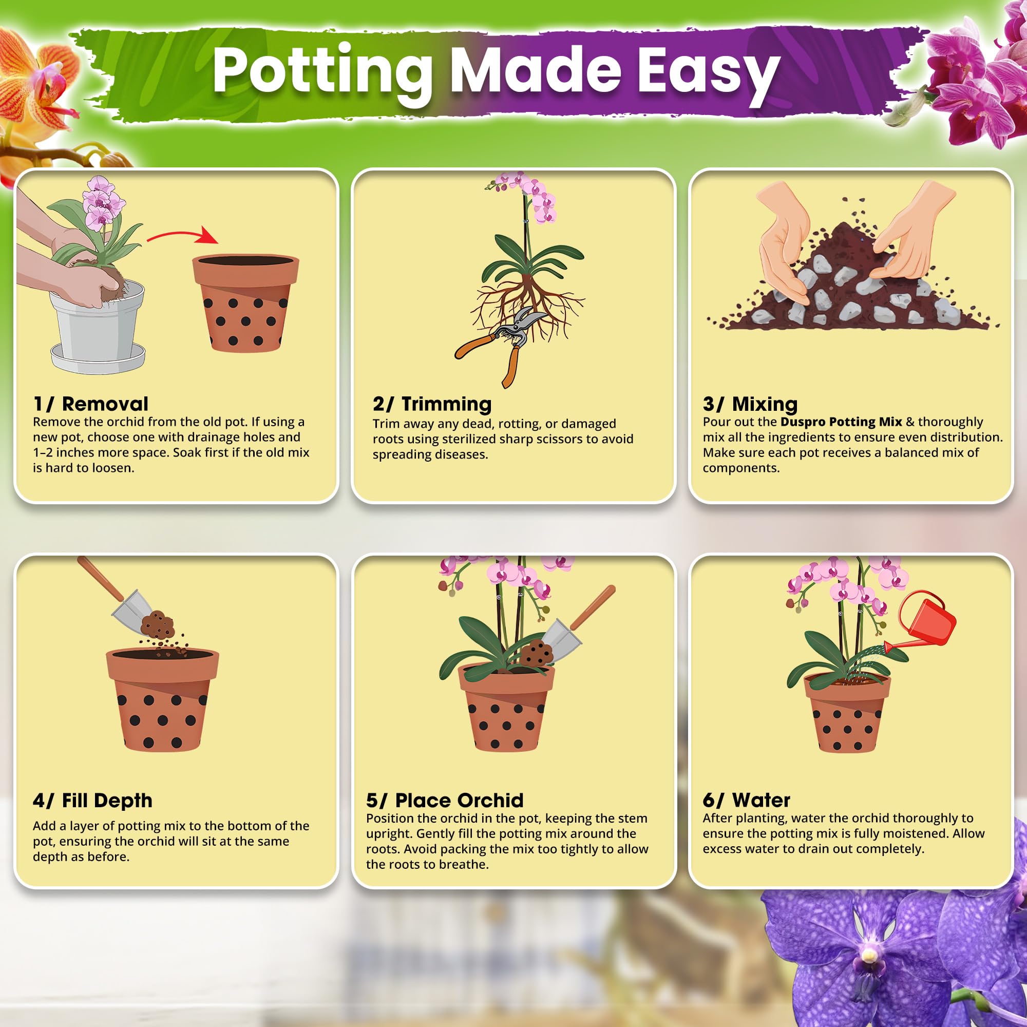 Duspro potting mix in clear pot promoting root visibility and airflow