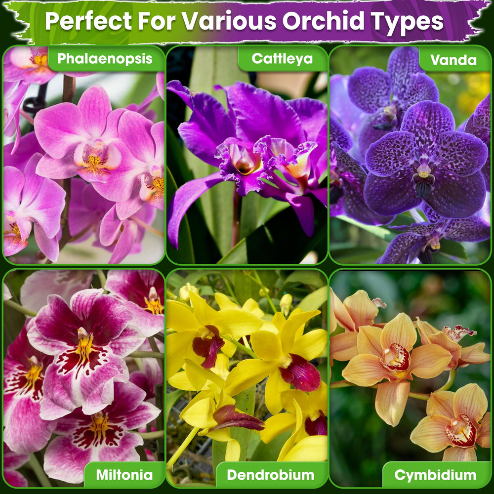 Duspro mix supporting orchid roots with improved stability and drainage