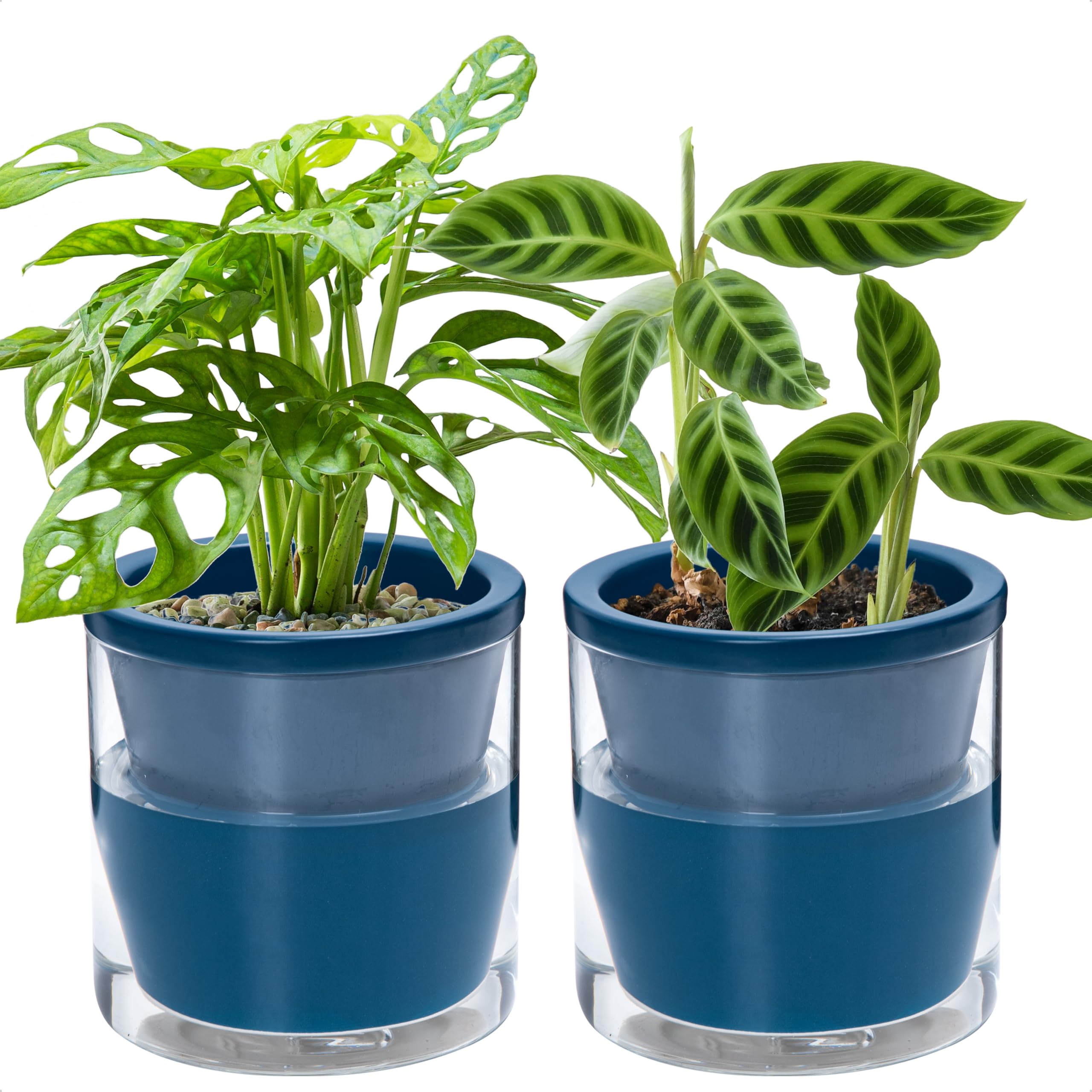 D'vine Dev front view blue terracotta planter shows elegant look and tidy design
