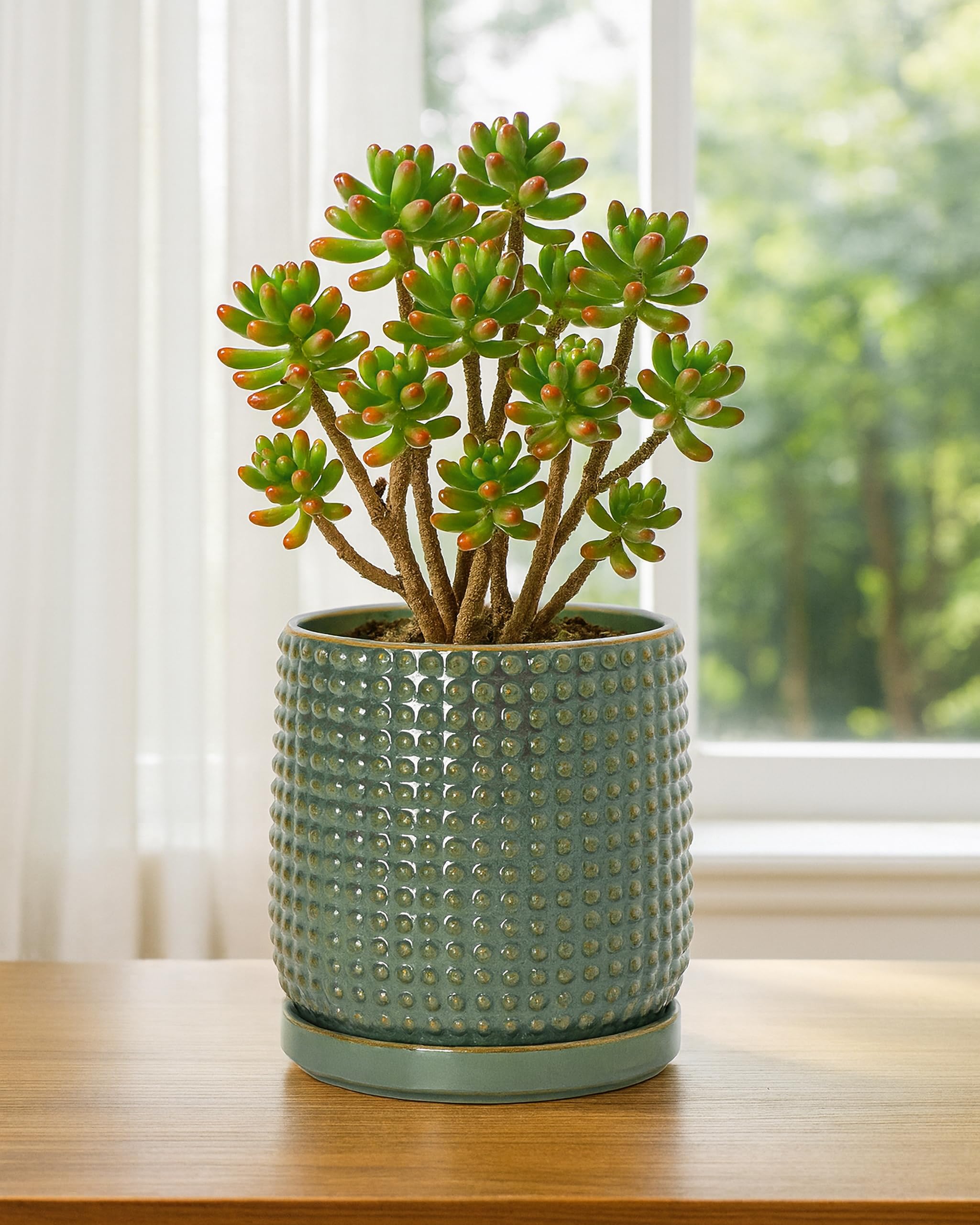 D'vine Dev on a shelf with decor demonstrating how the olive pot complements interiors