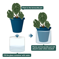D'vine Dev planter in use on windowsill with thriving herb for low-maintenance care