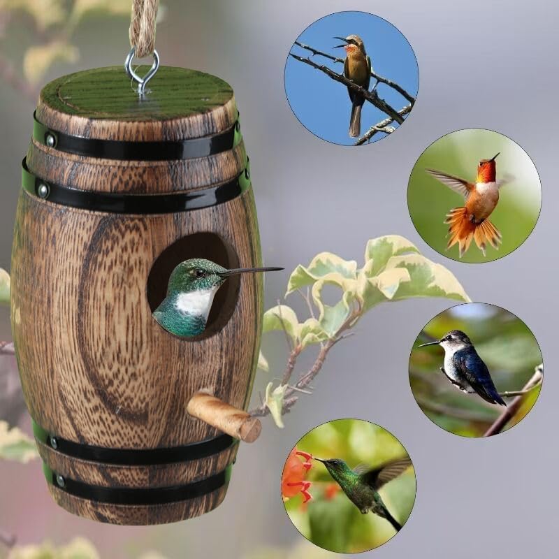 DY-SKTY hummingbird house hanging on a tree branch attracting wildlife