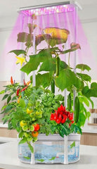 E SUPEREGROW front view of full hydroponic kit showing compact design and benefits