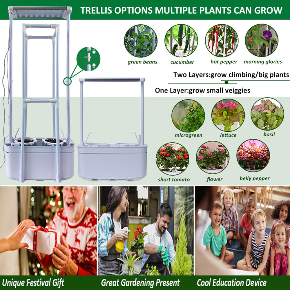 E SUPEREGROW seedlings thriving in pebbles illustrating fast, soil-free starts