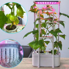 E SUPEREGROW trellis supporting tomato vines for improved fruiting support