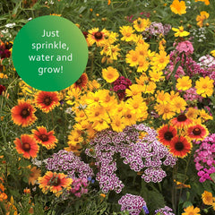 Earth Science natural mulch texture improving soil moisture retention