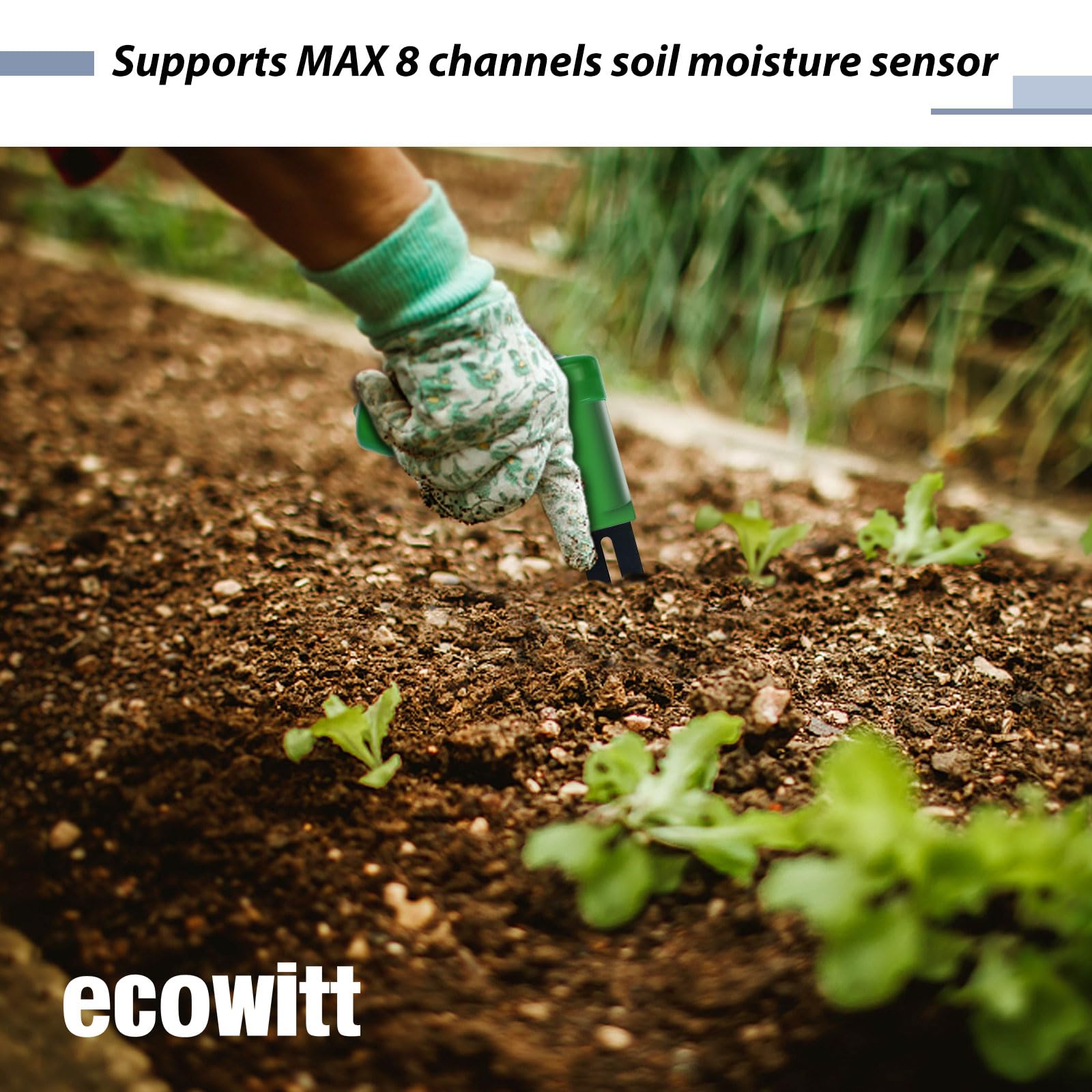 ECOWITT product packaging with probe and console laid out ready-to-use right away