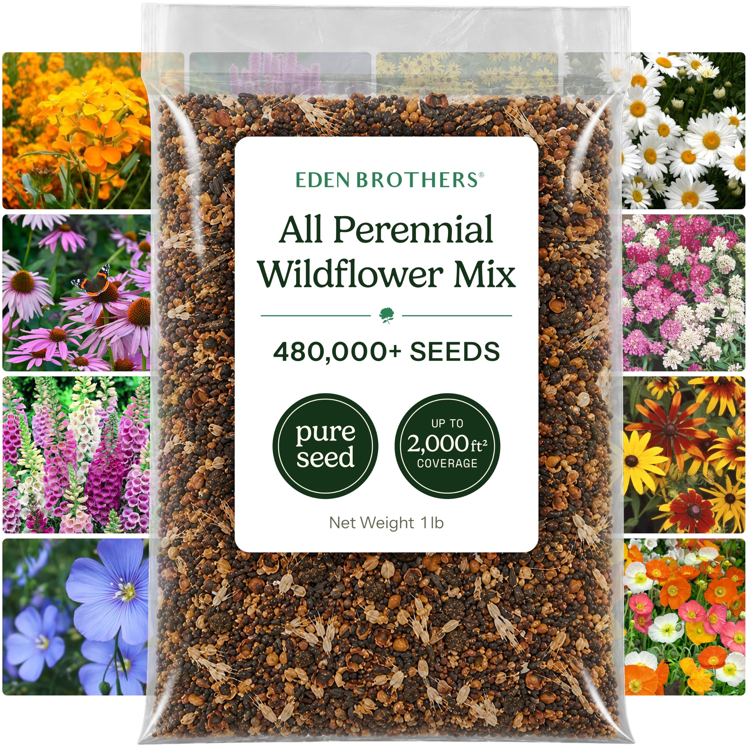 Eden Brothers front package showing 1 lb perennial wildflower blend, clear product information