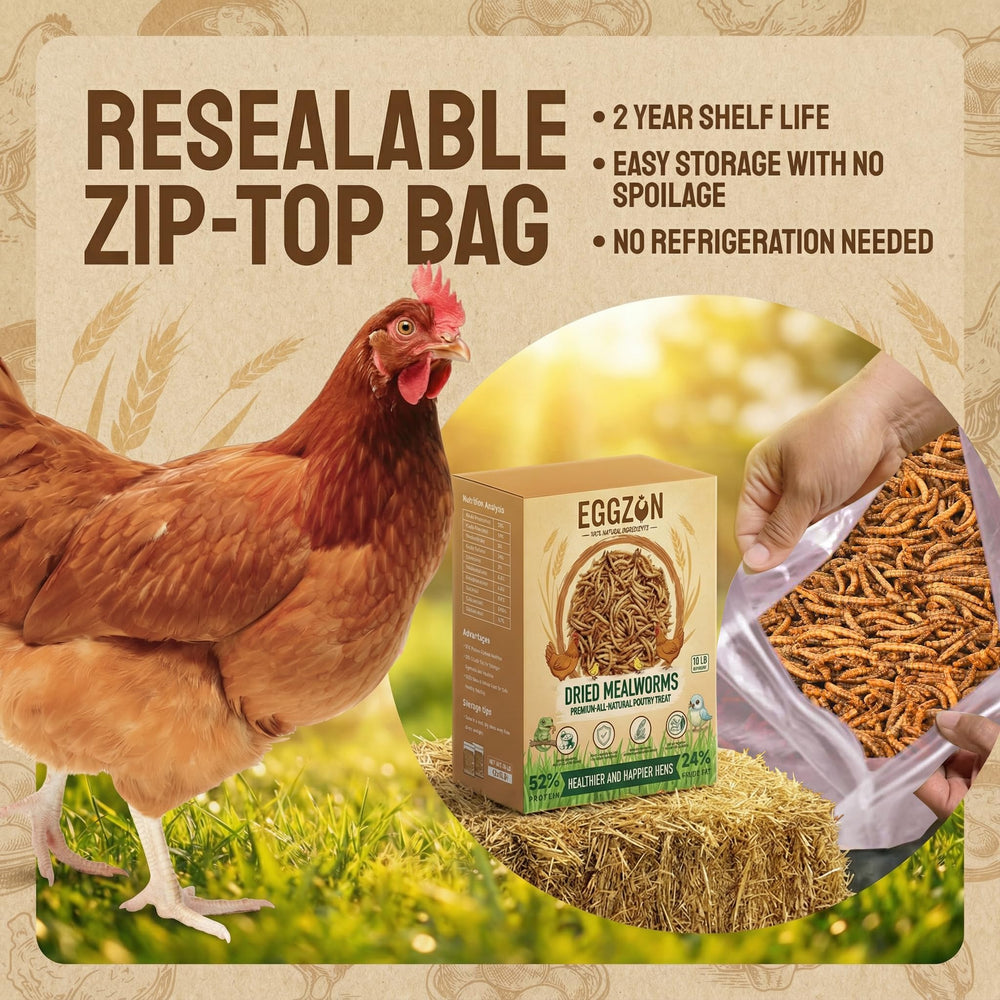 EGGZON bag ziplock detail preserving flavor and moisture resistance