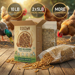 EGGZON close-up of dried mealworm texture highlighting crunchy protein