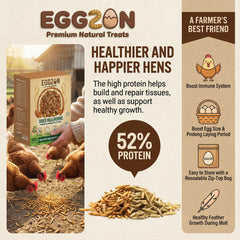 EGGZON in use with a hen pecking foraging energy boost