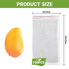 ENPOINT bagged apple on tree demonstrating bird and insect protection