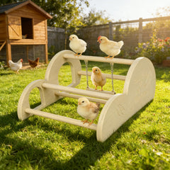 Enrichoice built-in mirror detail offering safe visual enrichment for hens