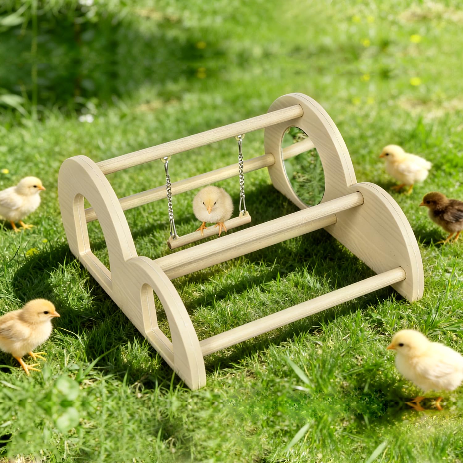 Enrichoice chain swing in use encouraging gentle activity and balance for poultry