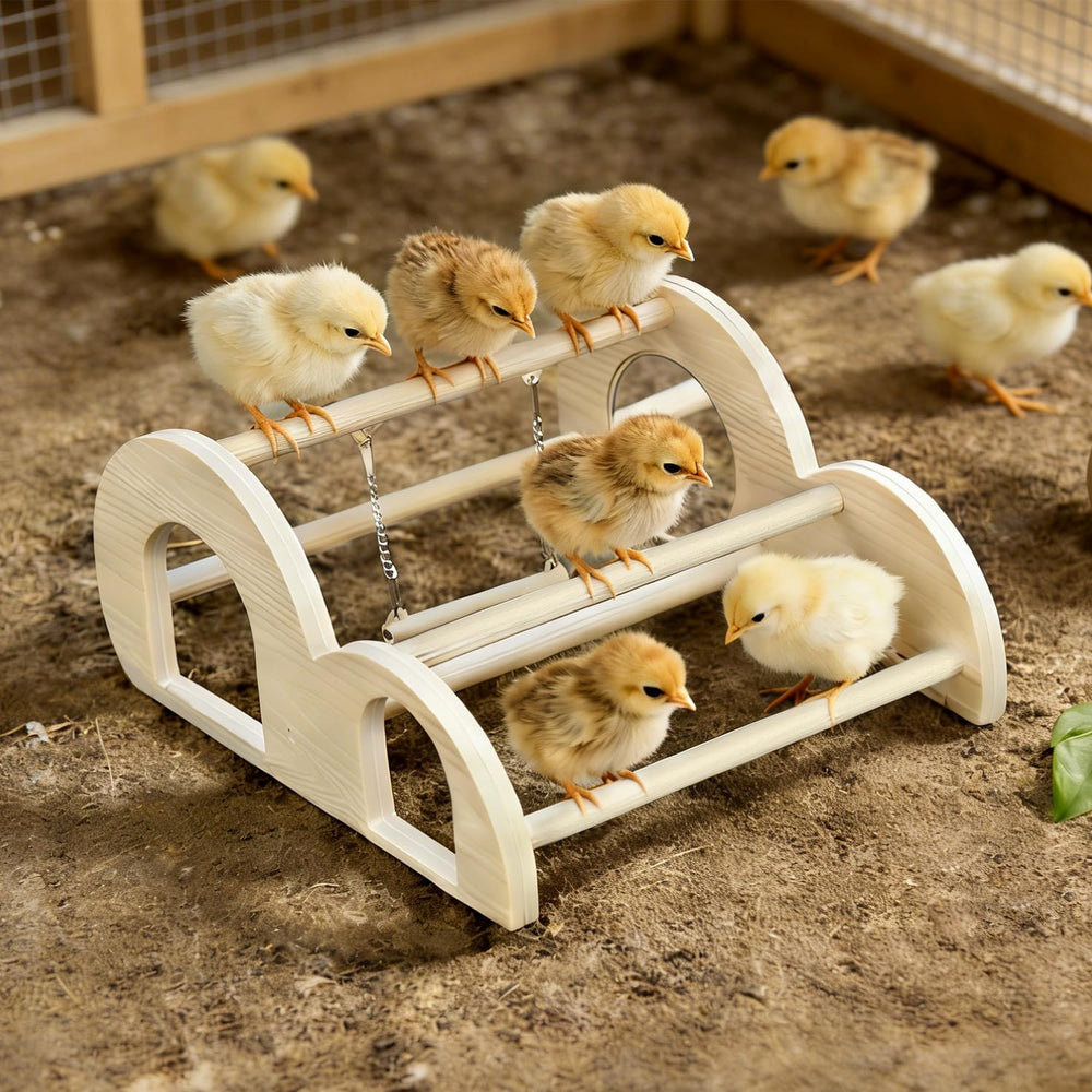 Enrichoice front view of perch with swing showing durable design and easy cleaning