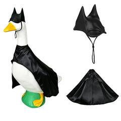Enrichoice front view of costume showing playful superhero look and curb appeal