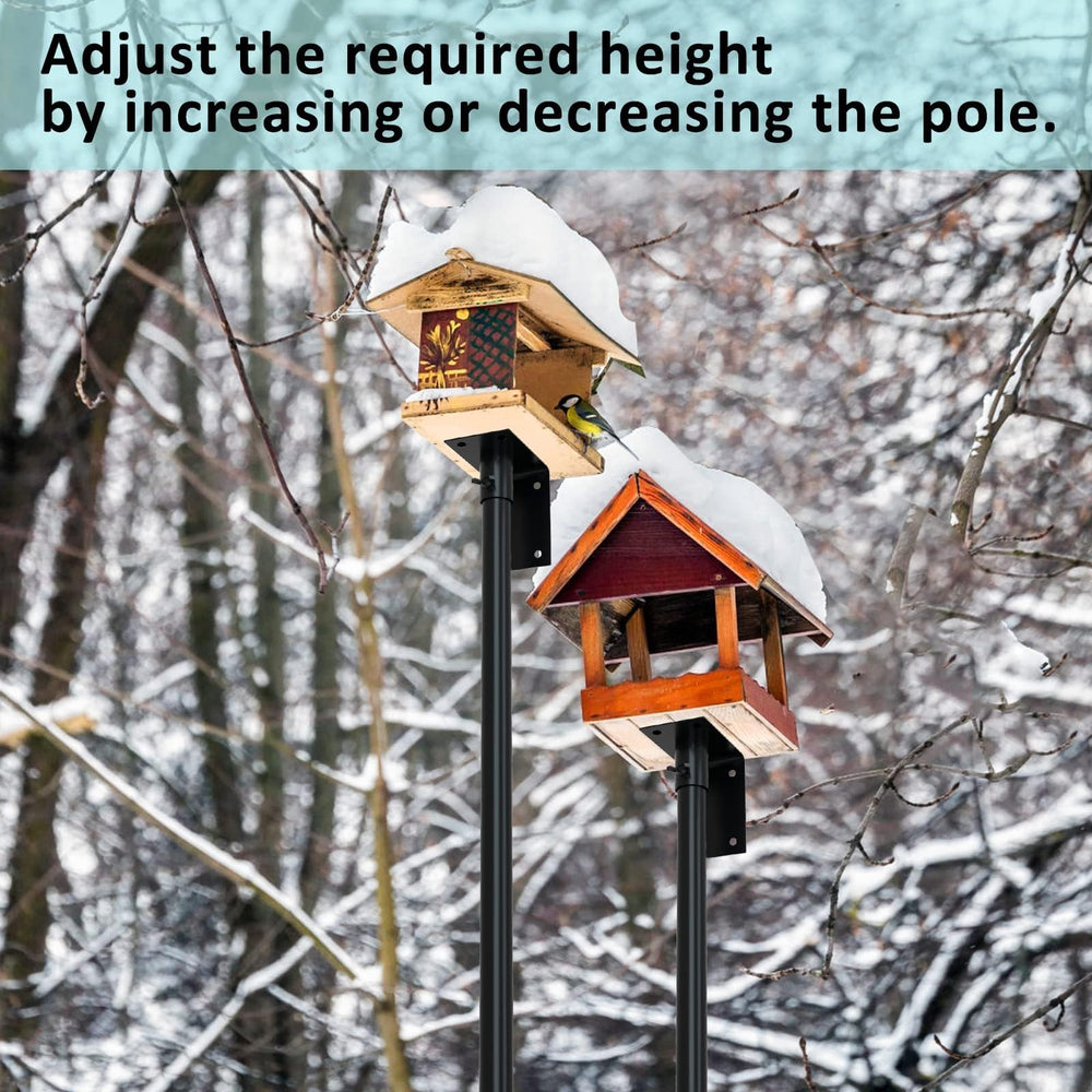 ERYTLLY in use with hummingbird feeder attracting backyard birds