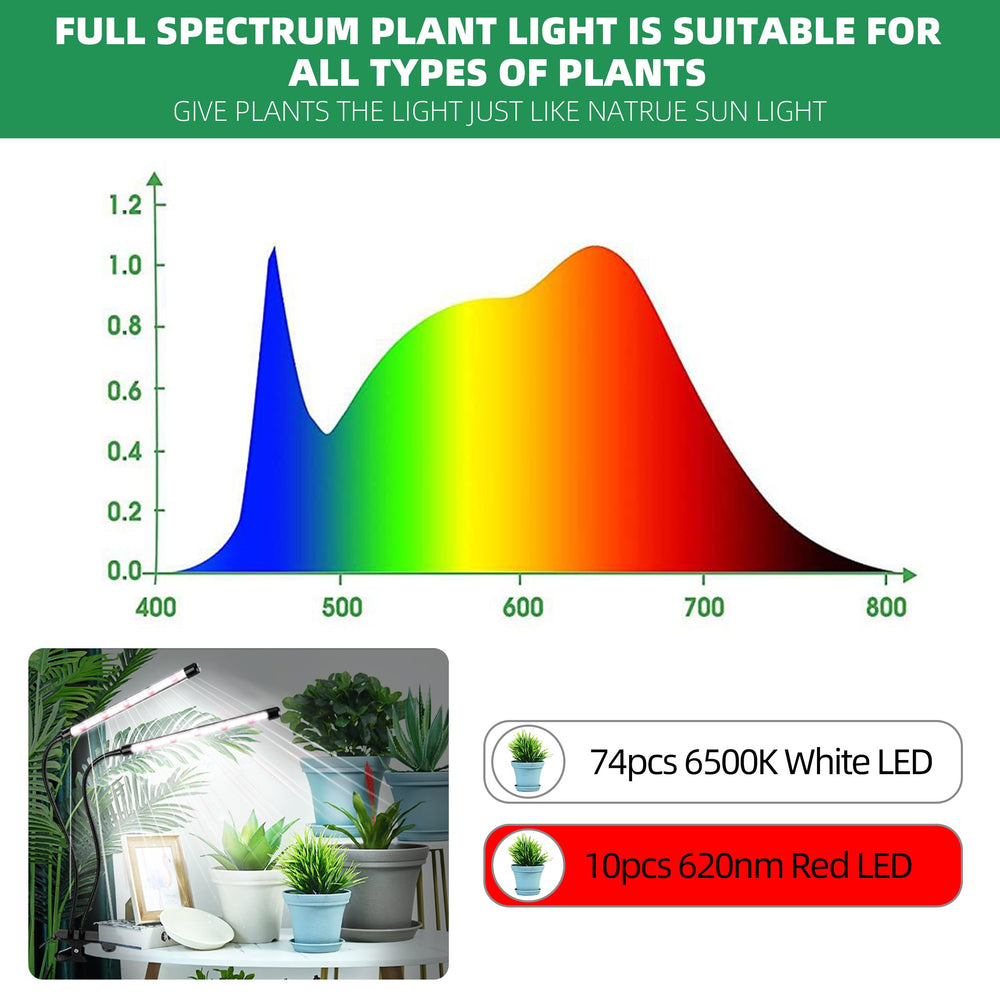 EWPJDK lamp lighting a shelf of decorative houseplants in living room