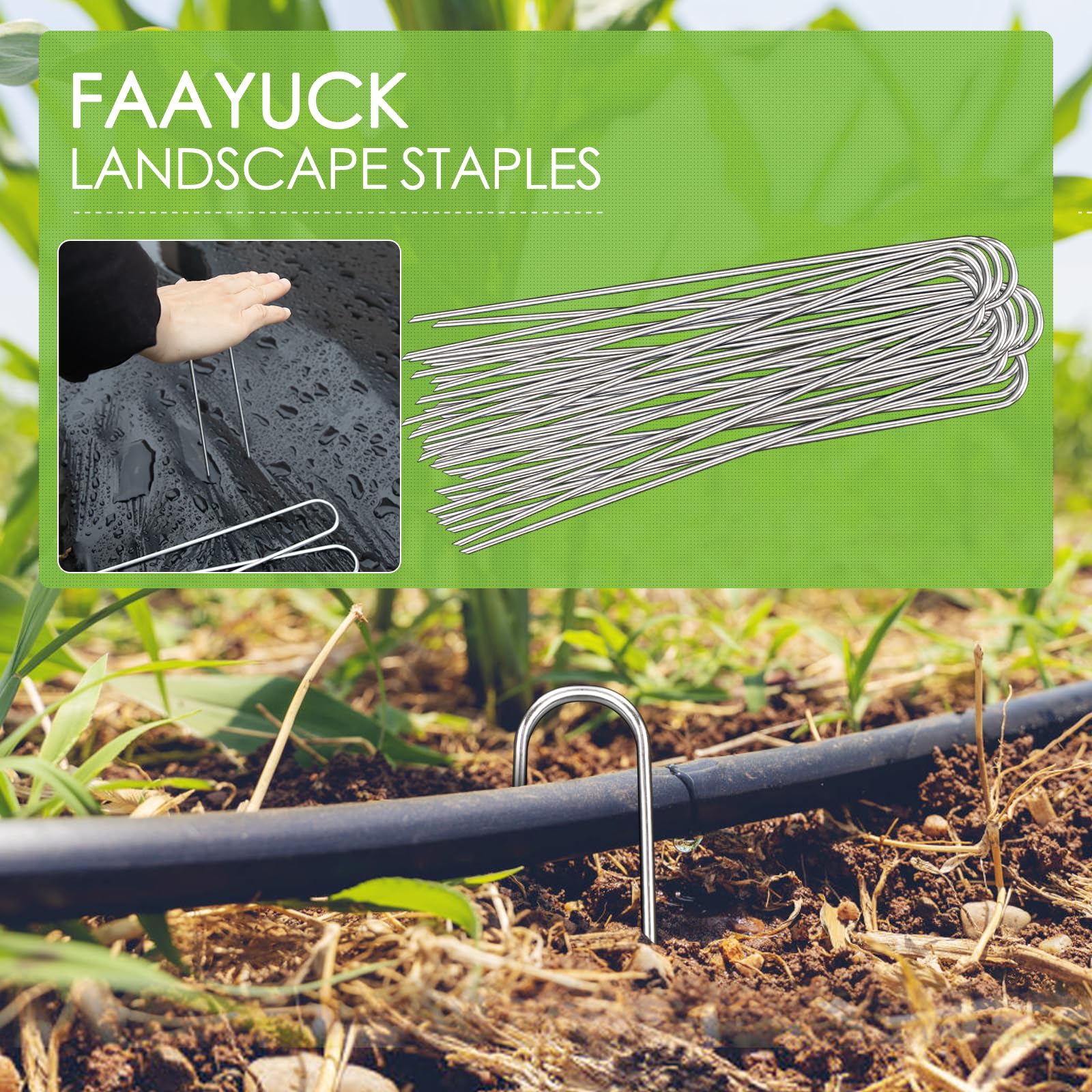 FAAYUCK staples securing irrigation hose showing tidy installation