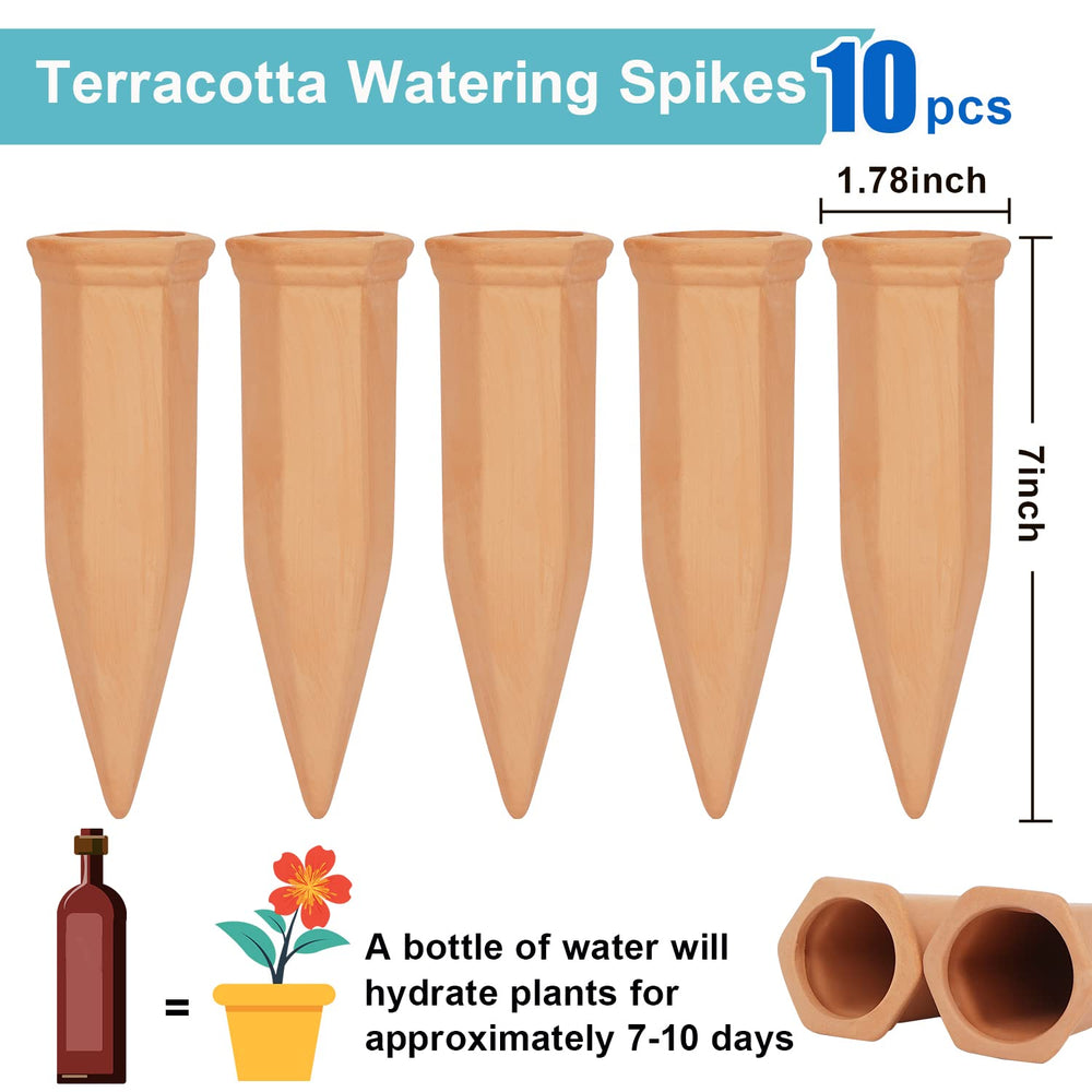 FAMILY close-up of porous terracotta texture for steady water release