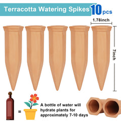 FAMILY close-up of porous terracotta texture for steady water release