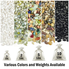 FANTIAN pebbles used as top-dress on succulent pot reducing soil splash and improving look