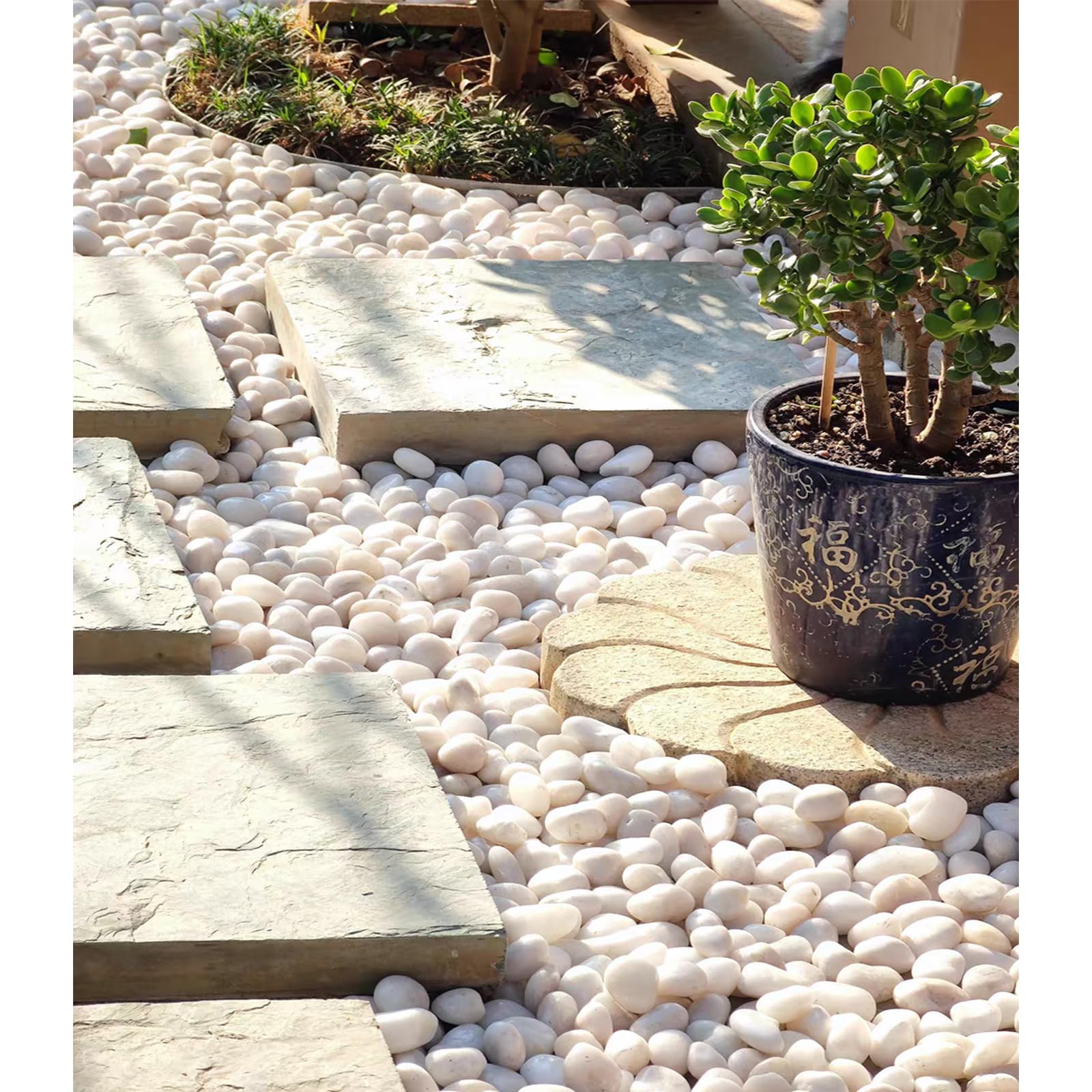 FANTIAN pebbles filling a clear vase with succulents adding visual contrast